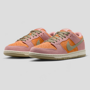 Nike SB Dunk Low Pro - Aurora