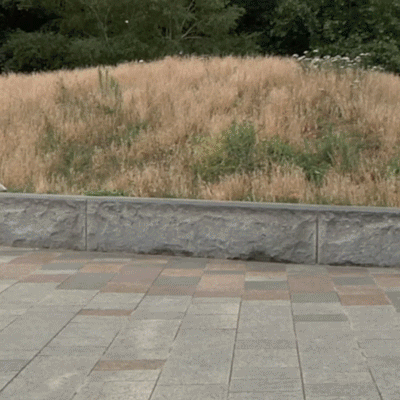 ACE & PASS~PORT - MATLOK BENNETT-JONES AT ARAGON GARDENS