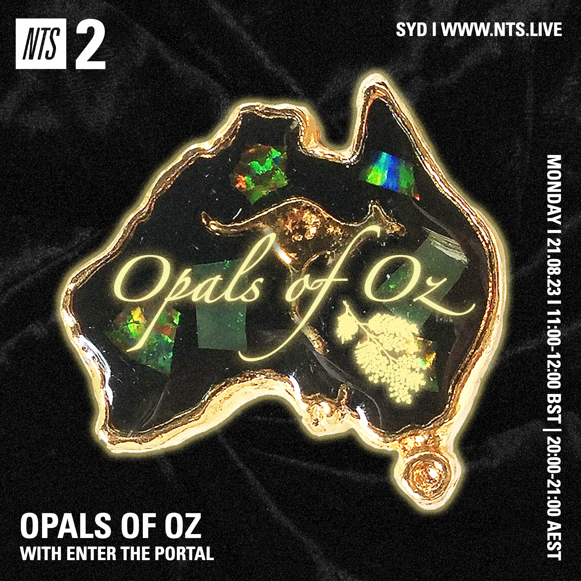 NTS ~ ENTER THE PORTAL MIX #5