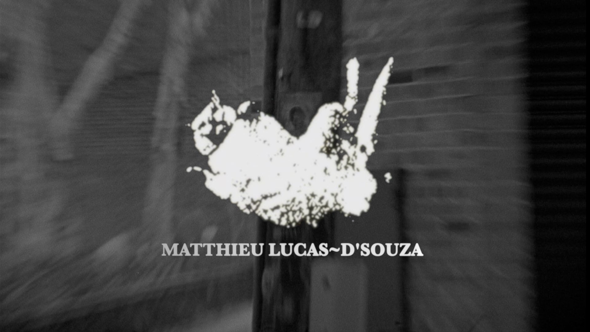 PASS~PORT PRESENTS MATTHIEU LUCAS-D'SOUZA