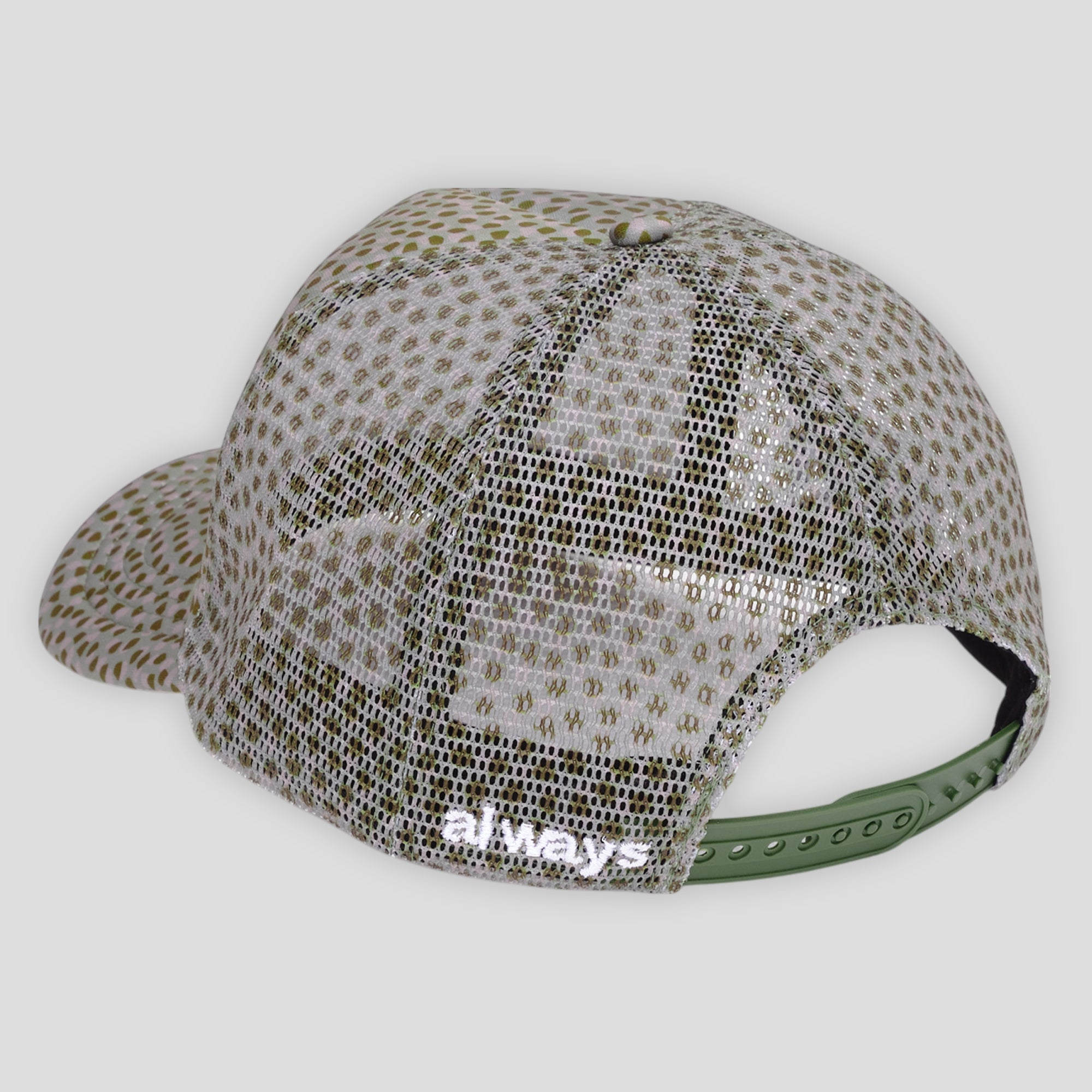 Skate Hats, Caps & Beanies | Pass~Port