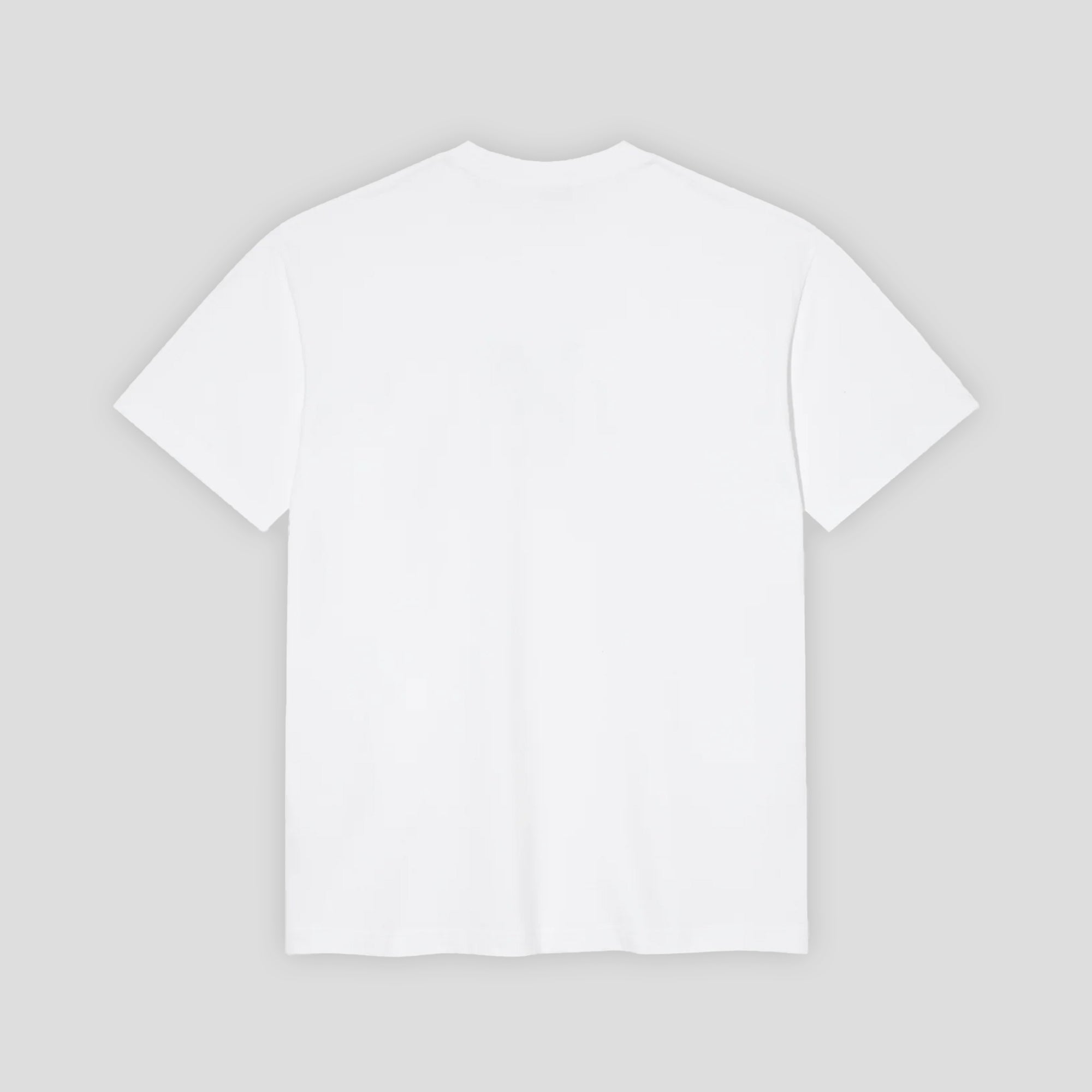 0000s_0044_Polar-Skate-Co-SP25-Tee-World-Domination-White-2_webp.jpg
