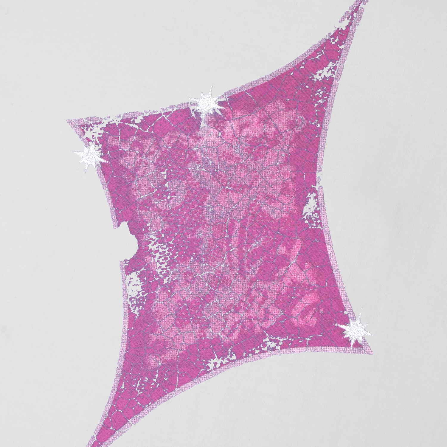 Pass~Port Glint Tee - White