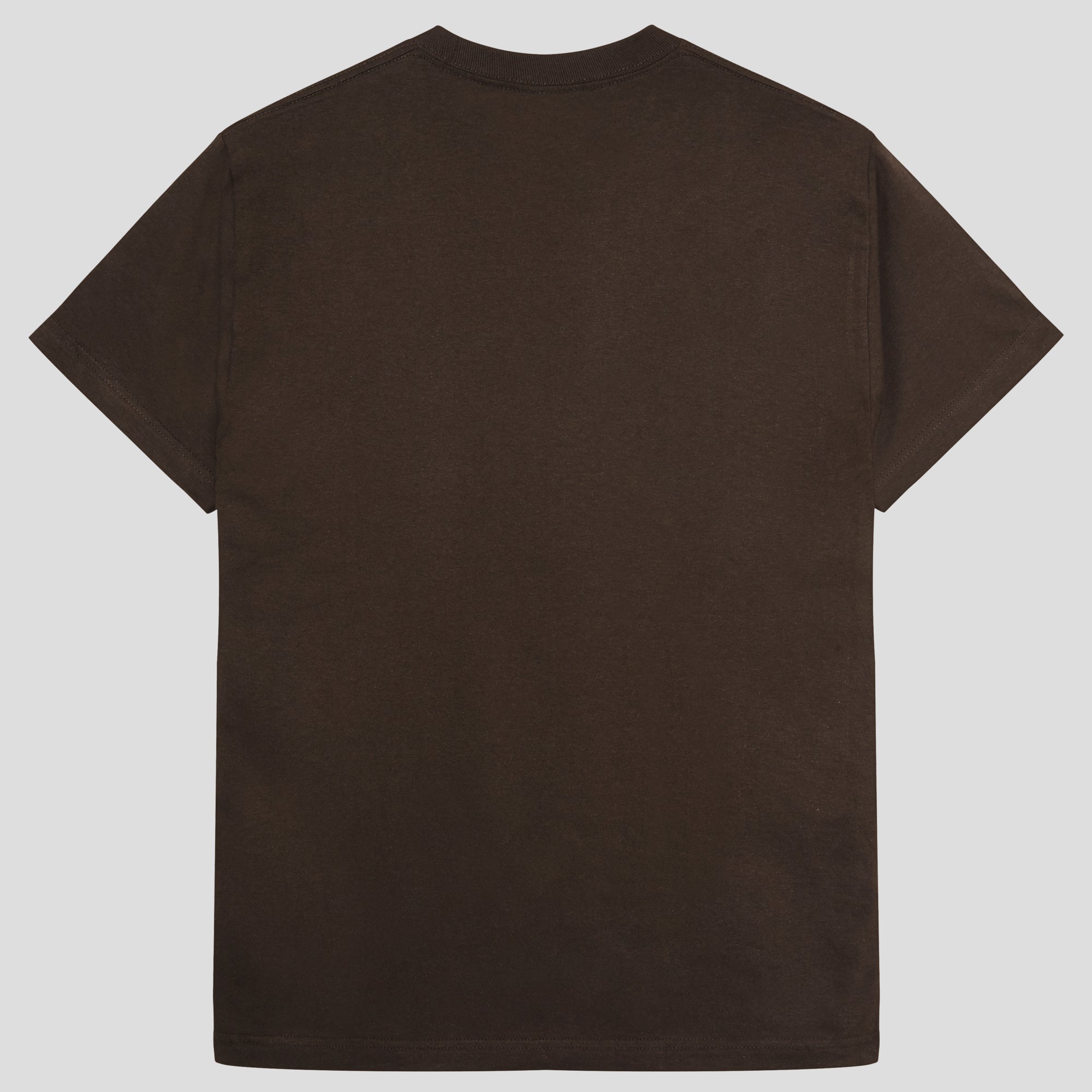 Pass~Port Store & Gallery Exclusive Wired Logo Tee - Bark