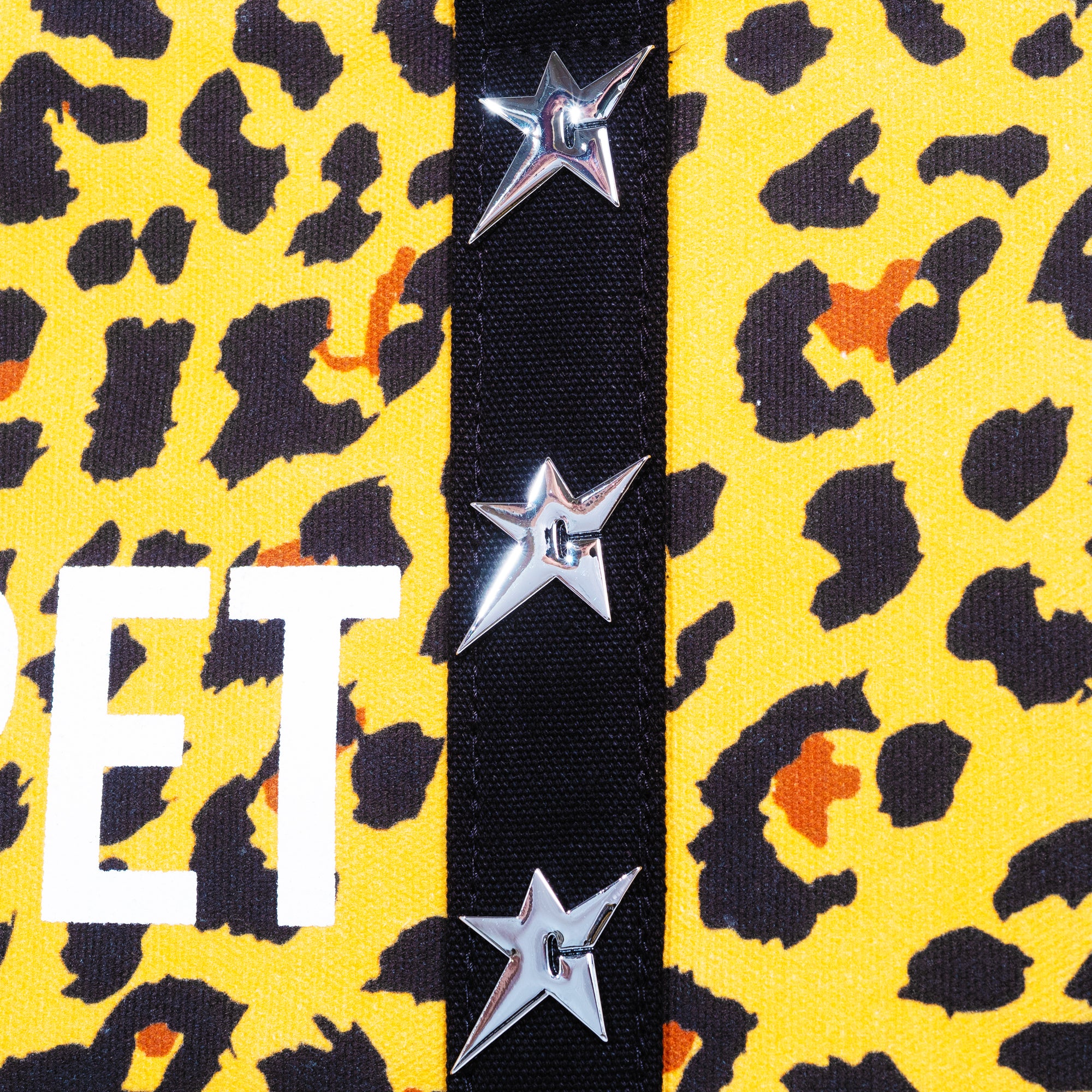 123_0004_Cheetah-Tote-5_webp.jpg