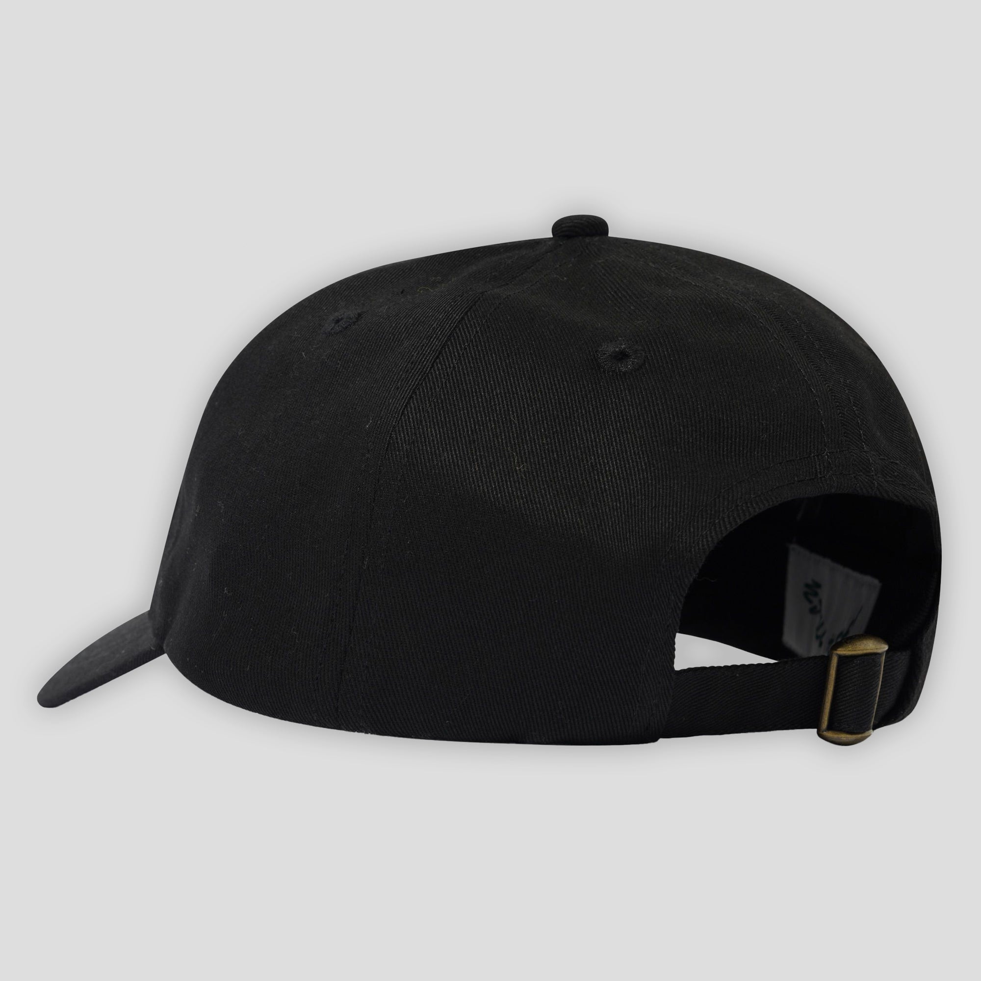 【ストリート好き必見】PASS~PORT Logo Back Snap Cap Skate Hats, Caps & Beanies | Pass~Port