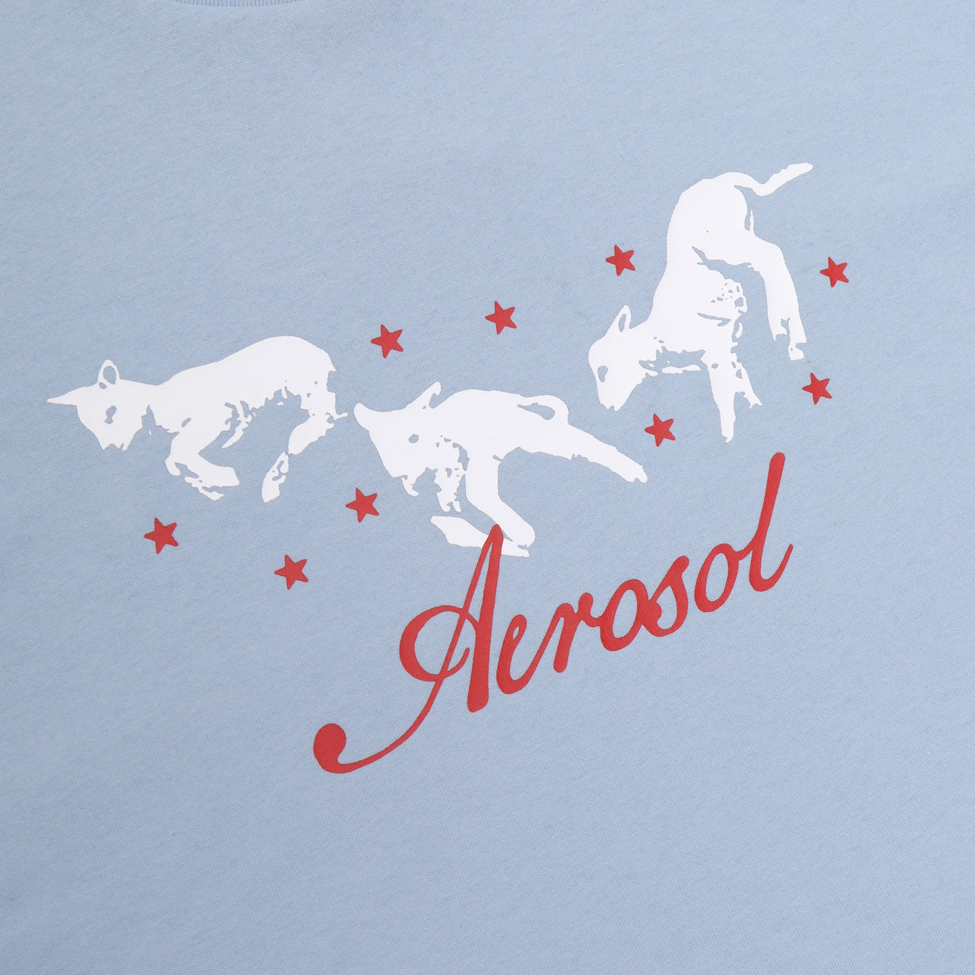 AerosolR_1_0012_FrolicTee_Blue_Detail.jpg