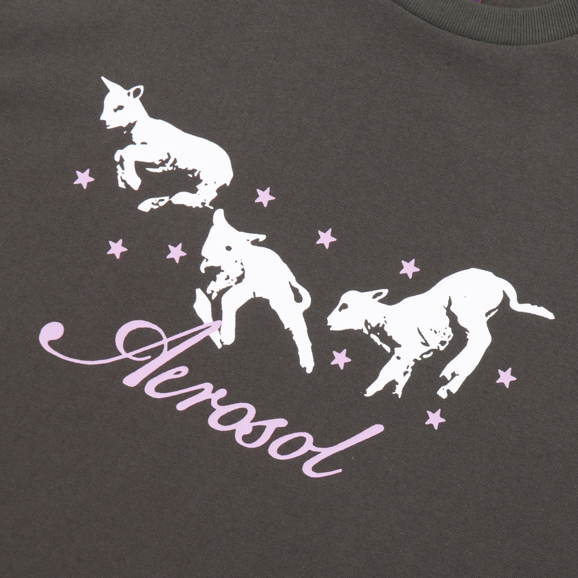 Aerosol Frolic Tee - Grey