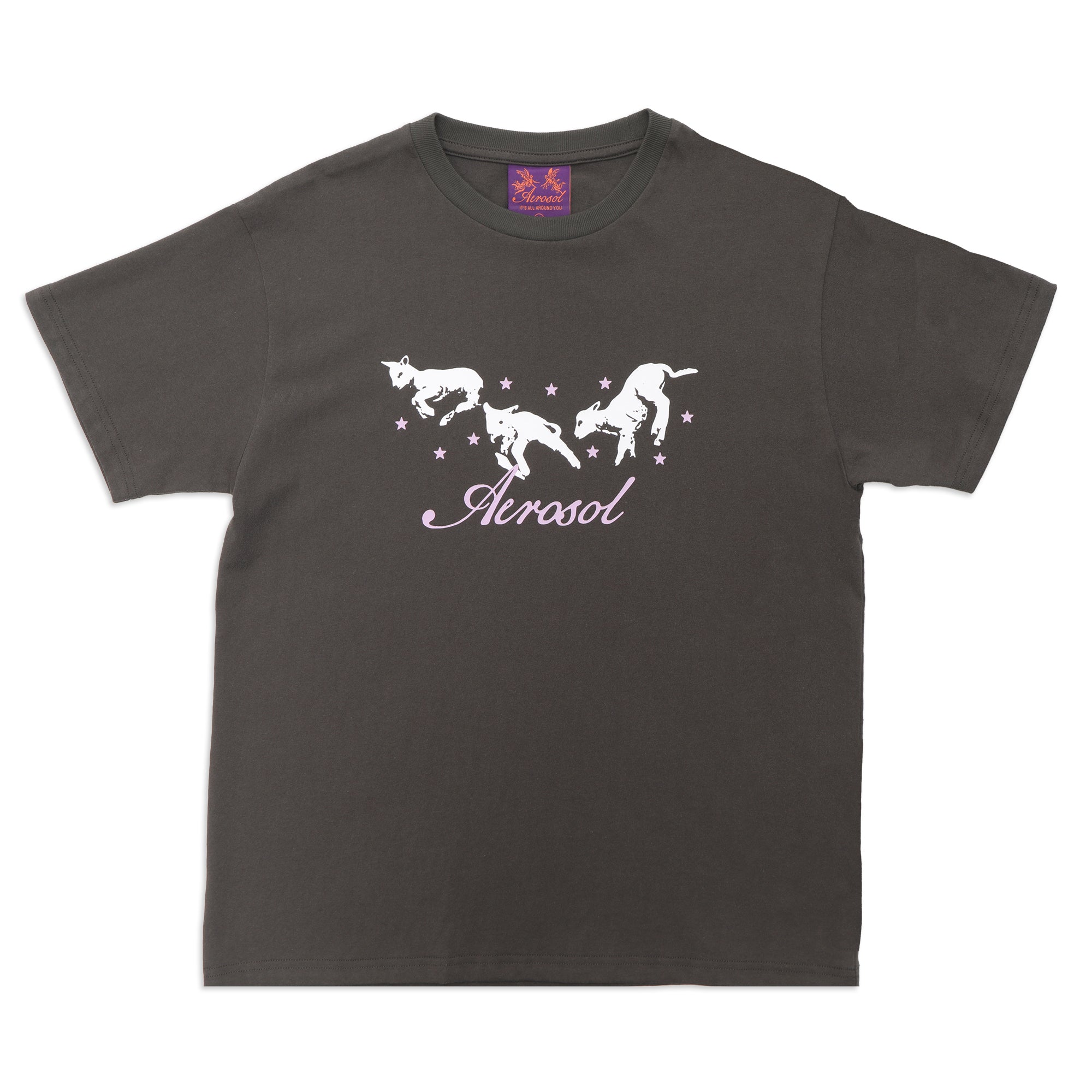 Aerosol Frolic Tee - Grey