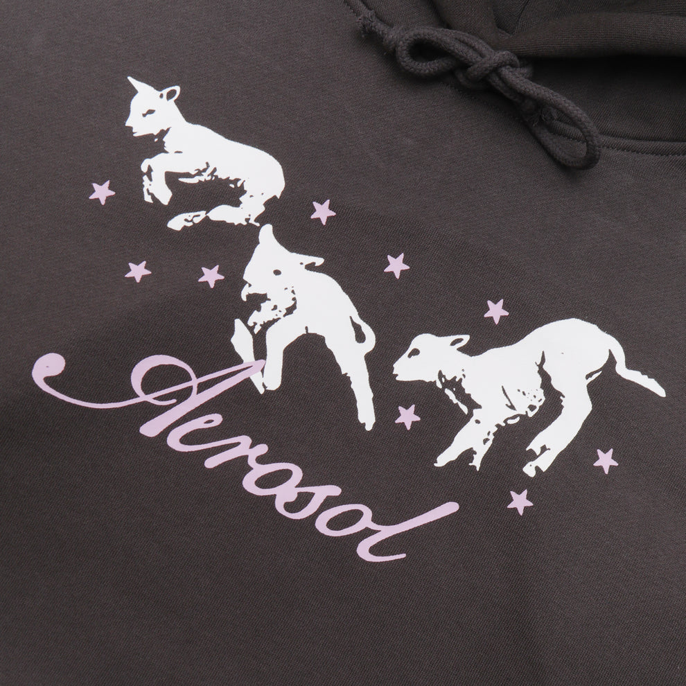 Aerosol Frolic Hoodie - Grey