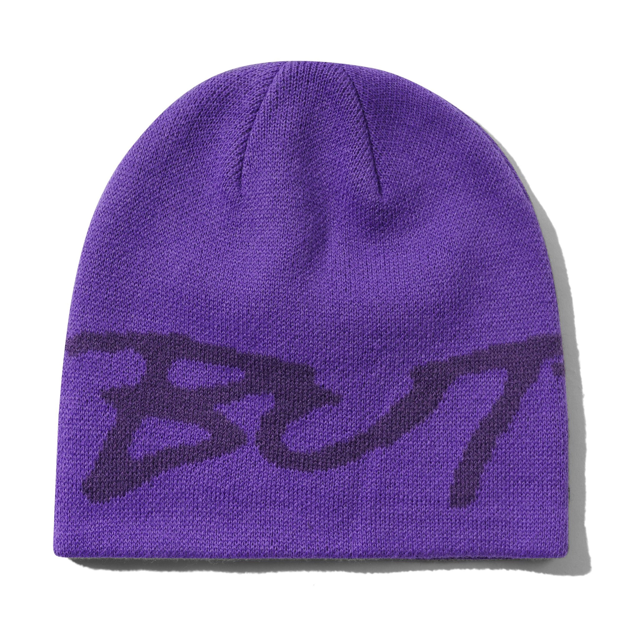 BUTTER_0123_TerrainSkullyBeaniePurple1_jpg.jpg