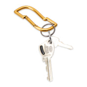 Pass~Port Tilde Carabiner