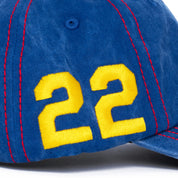 Carpet Company Distressed Hat - Blue