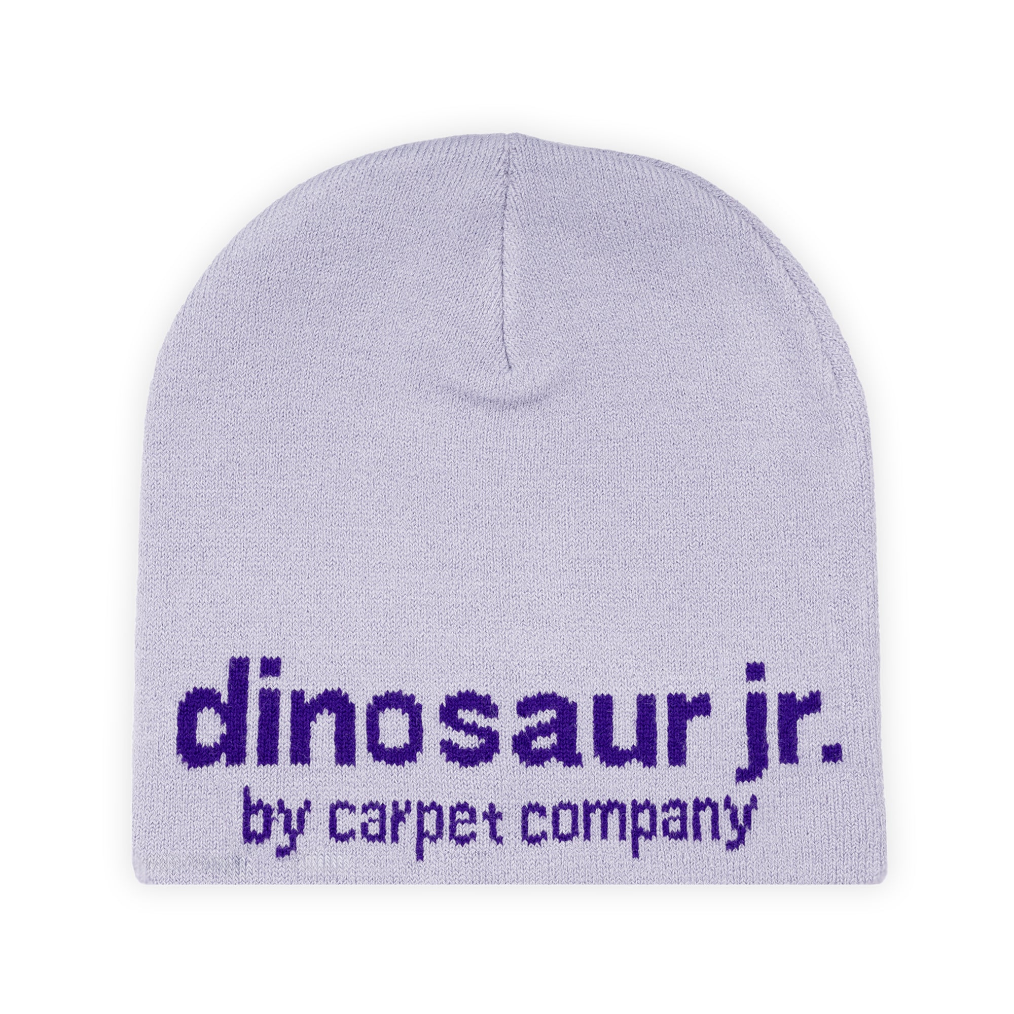 Carpet Company Dinosaur Jr. Beanie - Silver