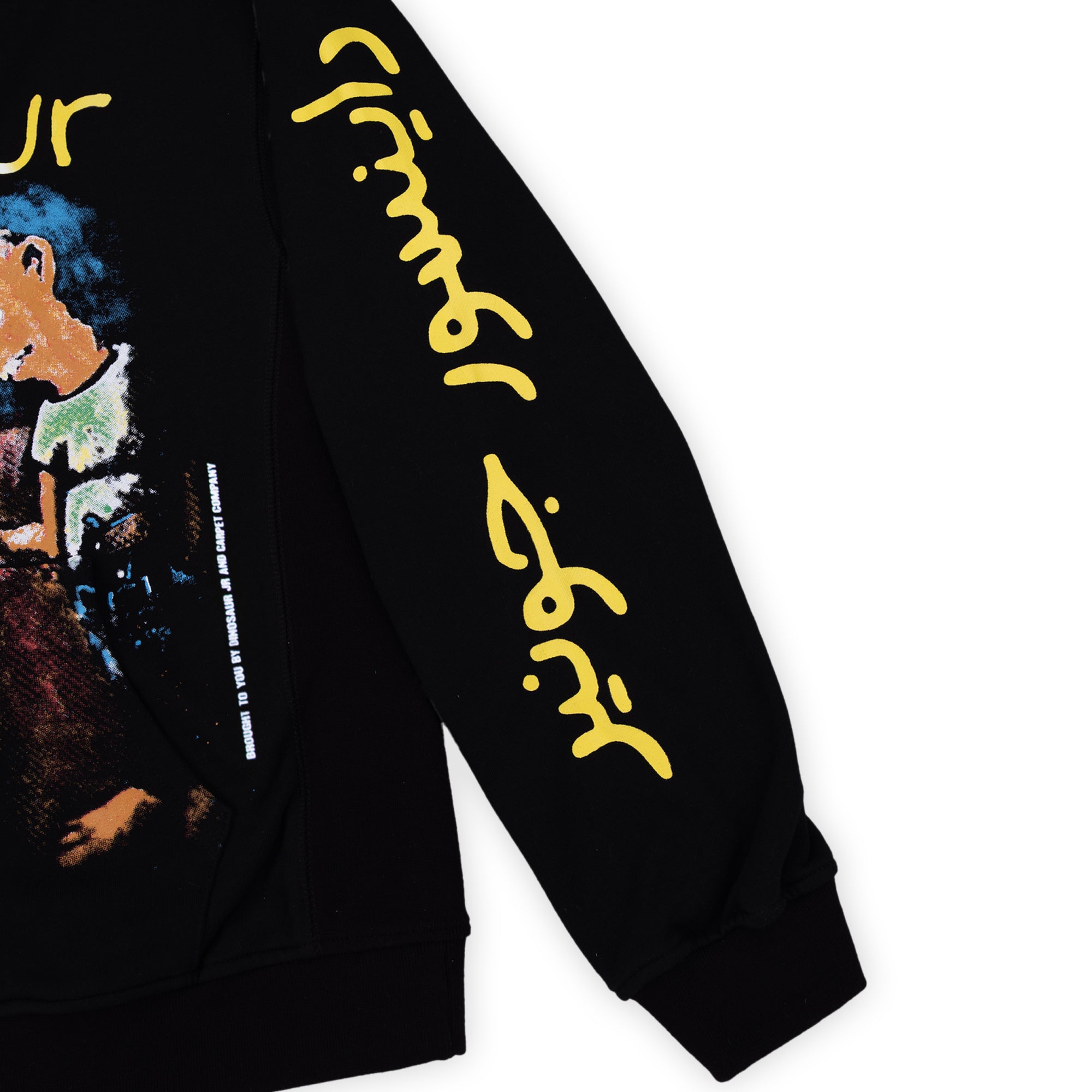 Carpet Company Dinosaur Jr. Where You Been Hoodie - Black