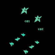 Carpet Company Glow In The Dark C-Star Sock - Black