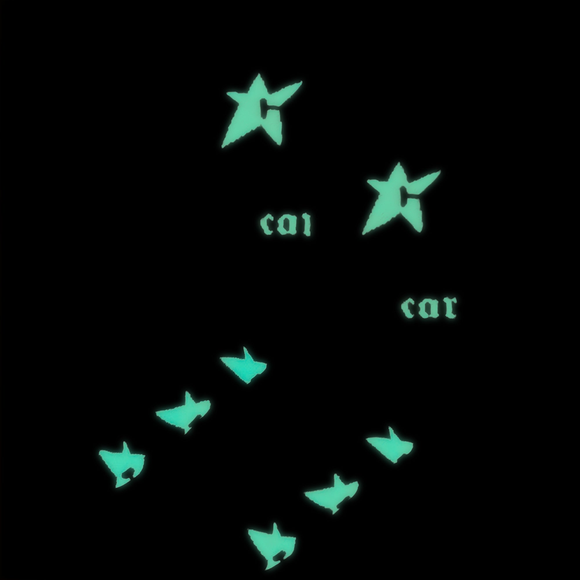 Carpet Company Glow In The Dark C-Star Sock - Black
