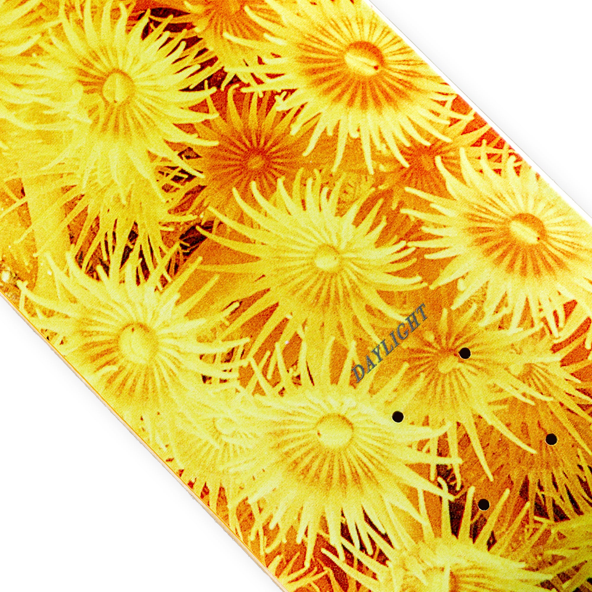 Daylight Zoanthid Deck