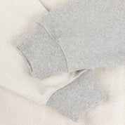 Dime Reverse French Terry Zip Hoodie - Heather Grey