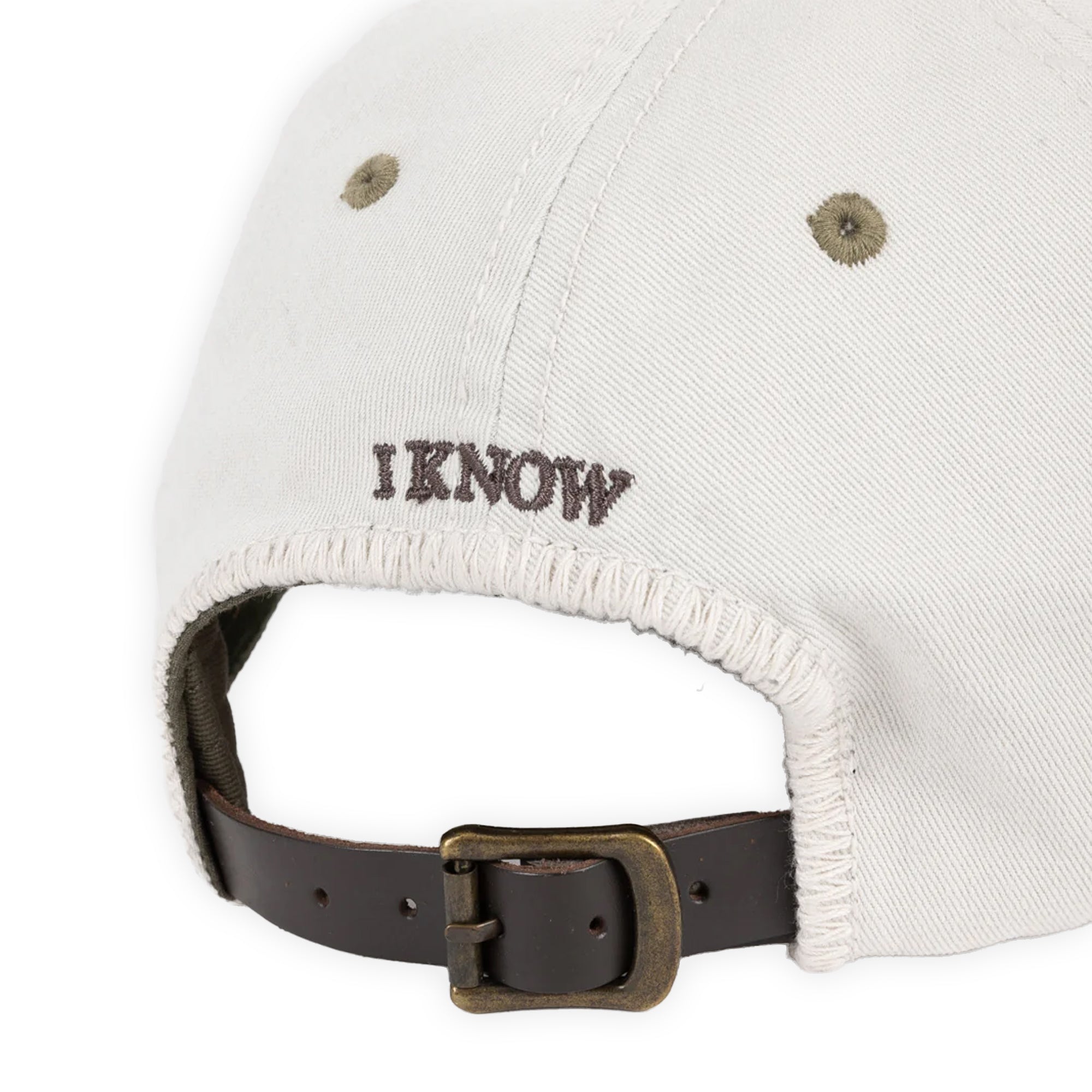 Dime Wavy D Low Pro Cap - Military