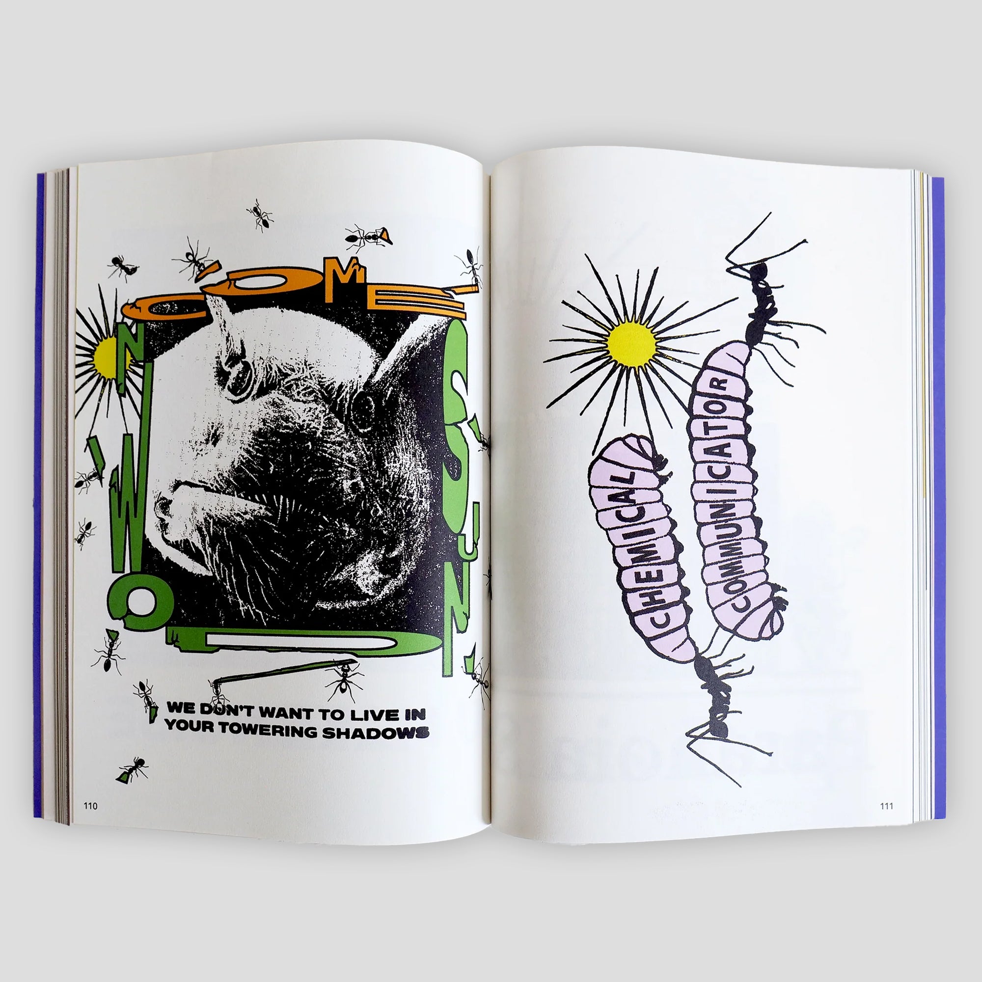 Come Sundown 10 Year Archive Book