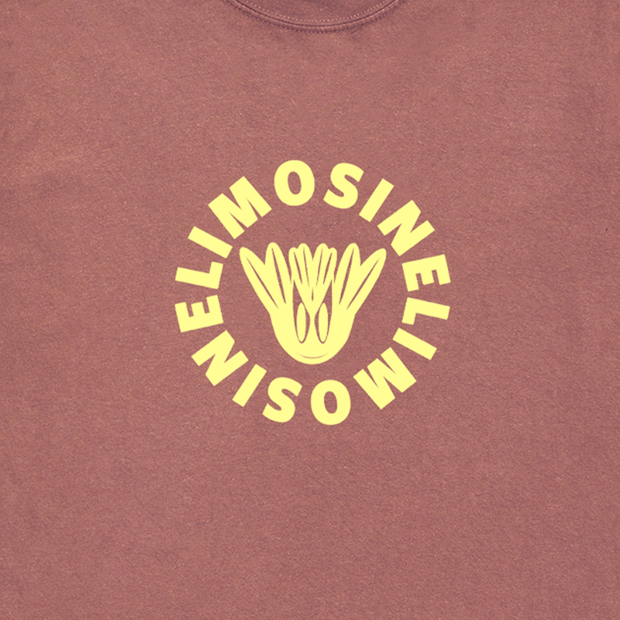 Limosine Paymaster Pigment Dyed Tee - Brick