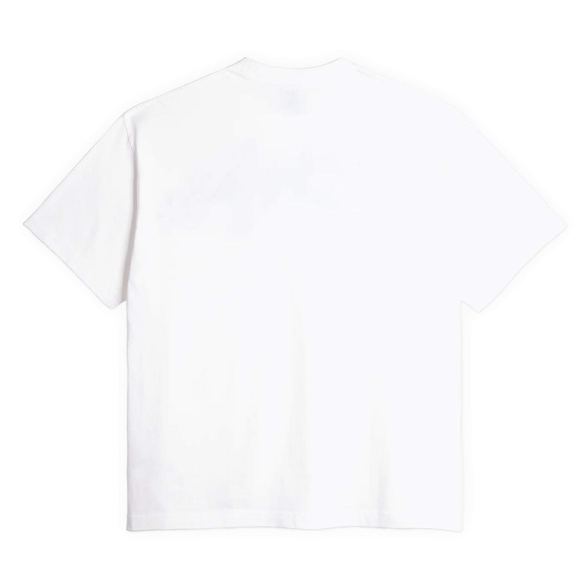 Polar Skate Co. Tribal Dari Tee - White