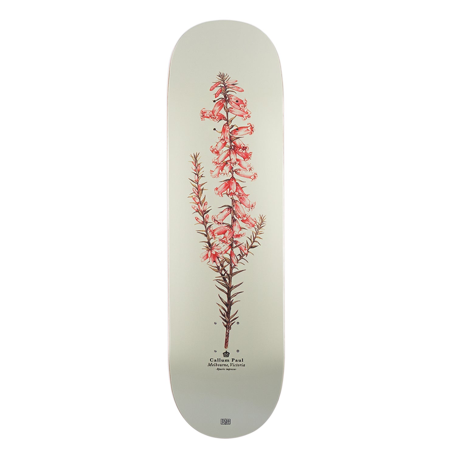 Pass~Port Pro Reissues Pink Heath - Callum Paul