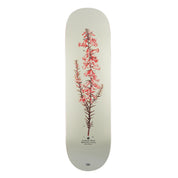 Pass~Port Pro Reissues Pink Heath - Callum Paul
