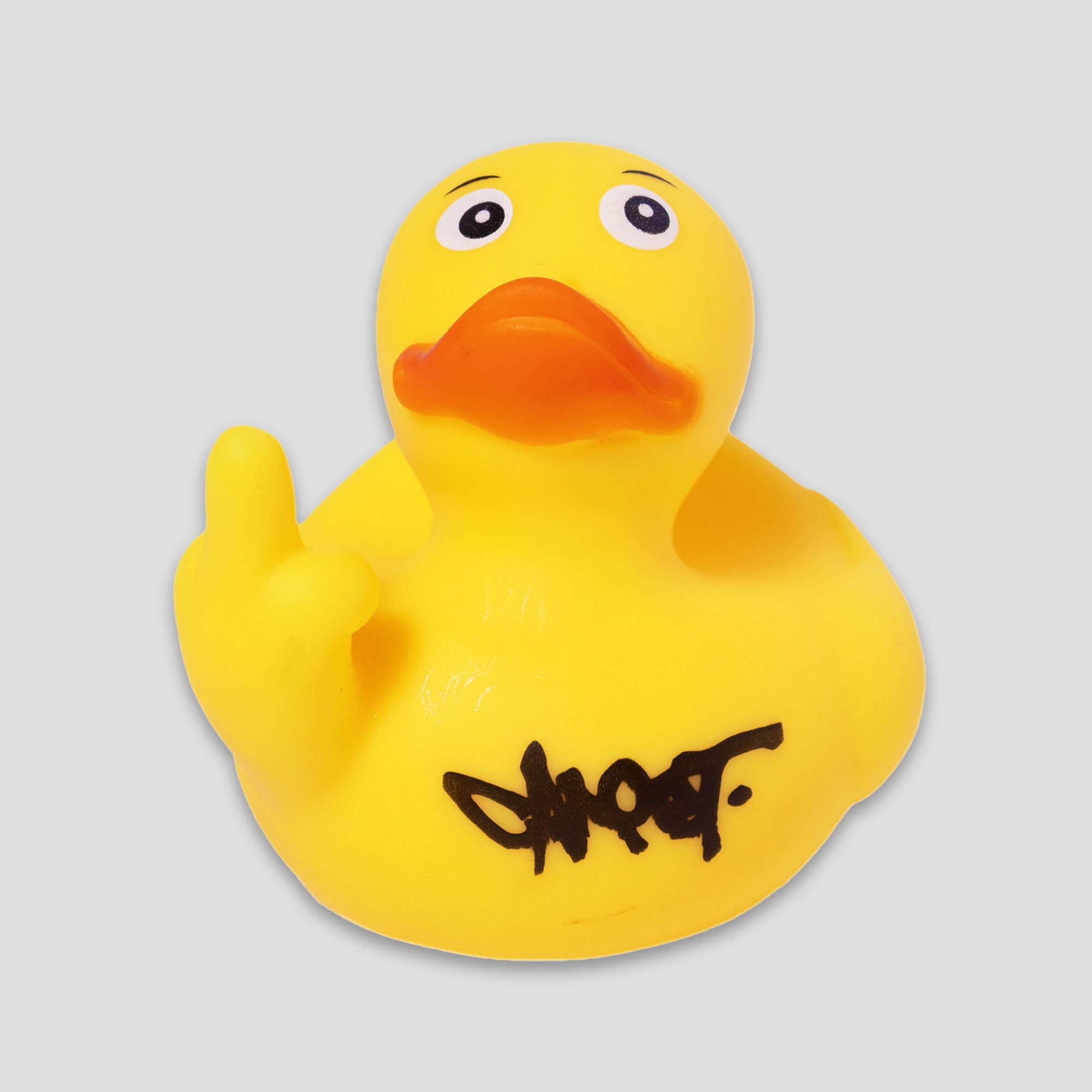 Rubber-duck-1.jpg