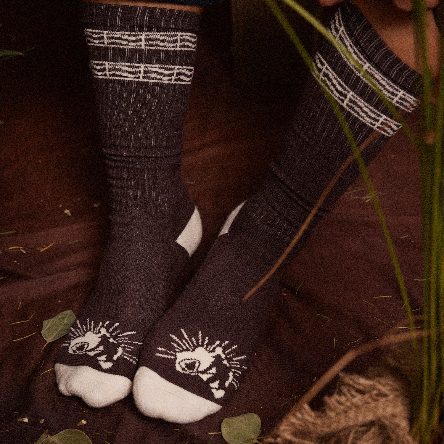 Pass~Port Australian Manufactured Socks - Brown / Natural