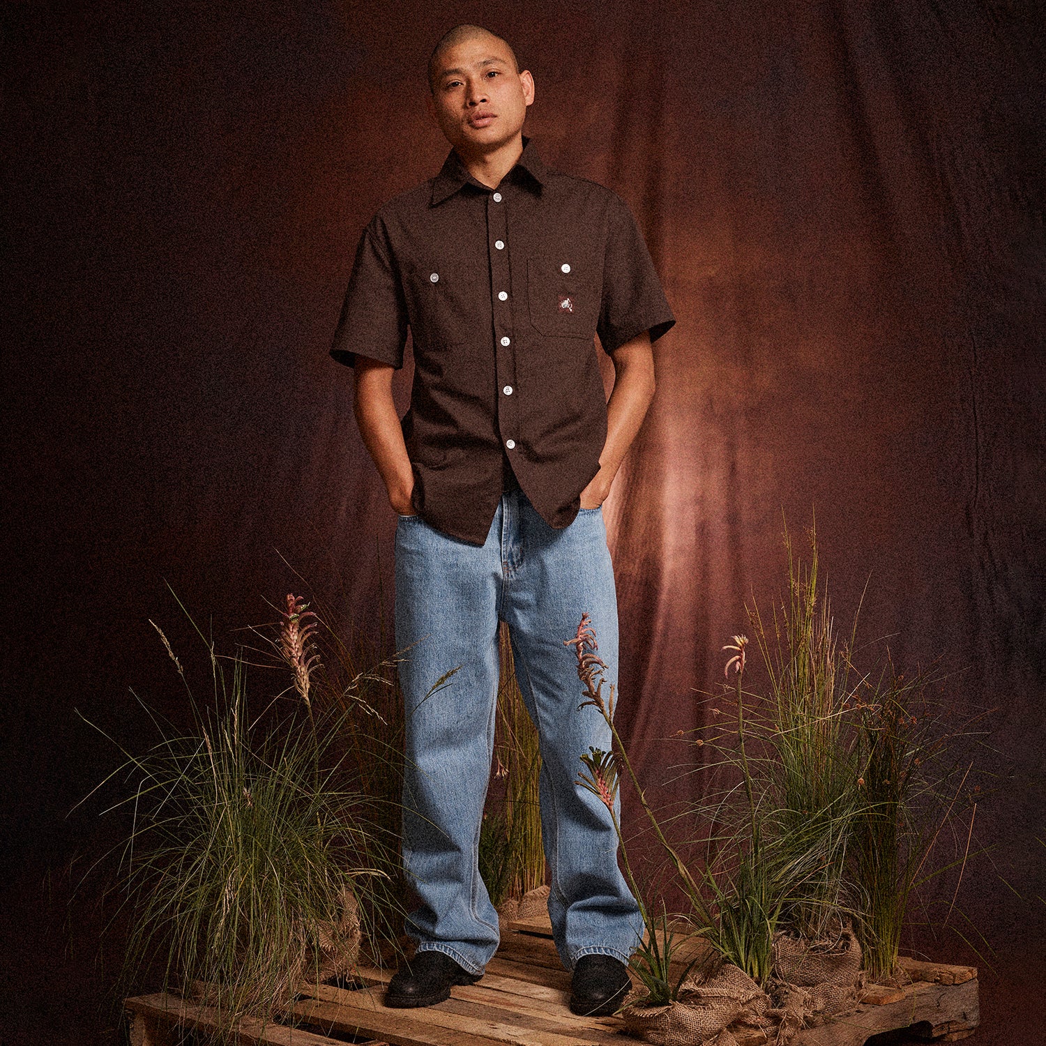 Pass~Port Australian Manufactured Short Sleeve Shirt - Dark Chocolate