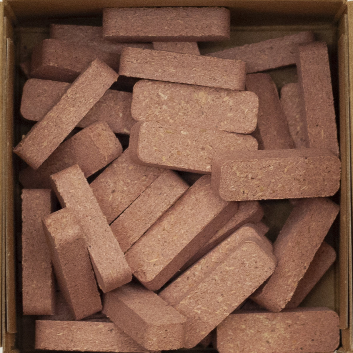 Cedar-2.jpg